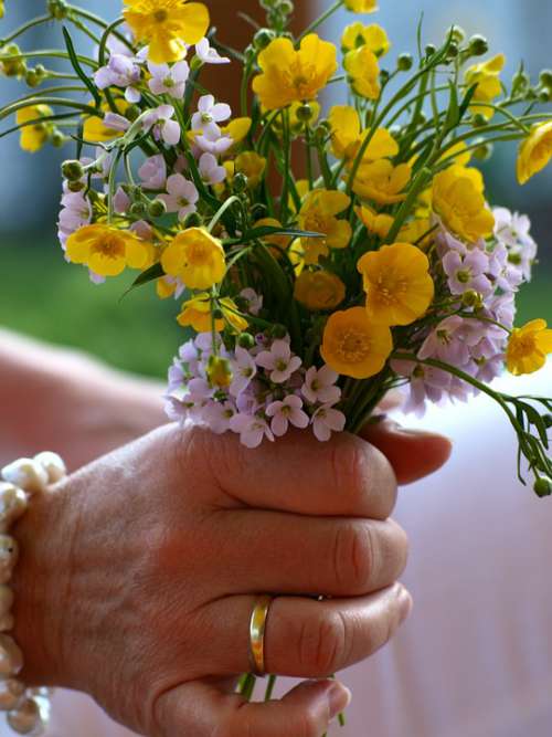 Flowers Hand Ring Married Springtime