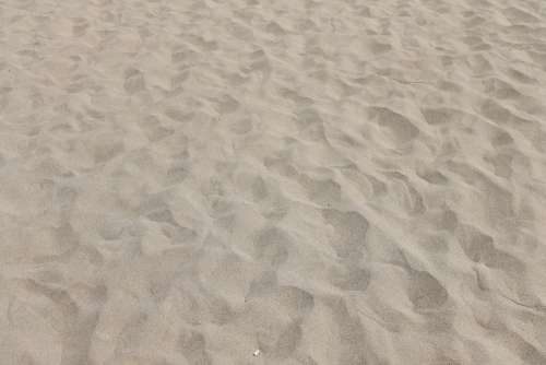 Footsteps Sand Beach Holiday Coast Footprint