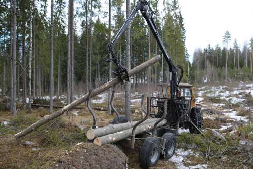 Forest Logging Tree Forest Cart Tractor Loading