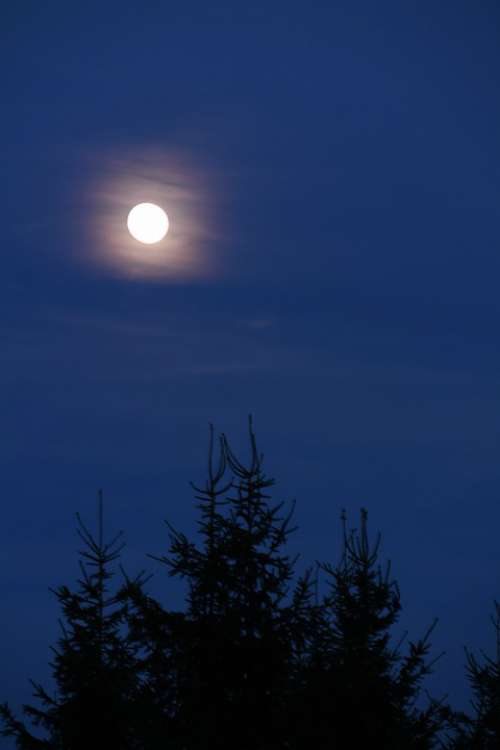 Full Moon Moon Night Sky Blue Moonlight Mystical