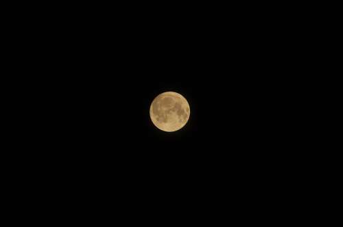 Full Moon Moon Moonlight Night