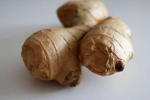 Ginger Bulb Plans Vegetable Root Health Healthy