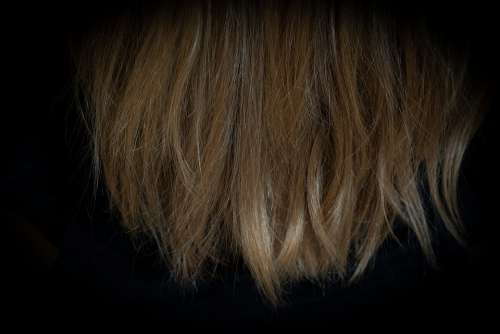 Hair Hair Tips Blond Dark Blonde Female Close Up