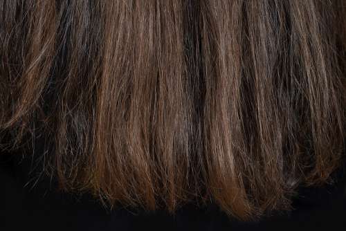 Hair Brown Female Background Close Up