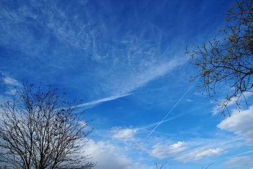 Heaven Sky Blue Clouds Vernal Budding Trees