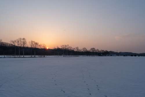 Hokkaido Sunrise Snow Winter Sun Landscape