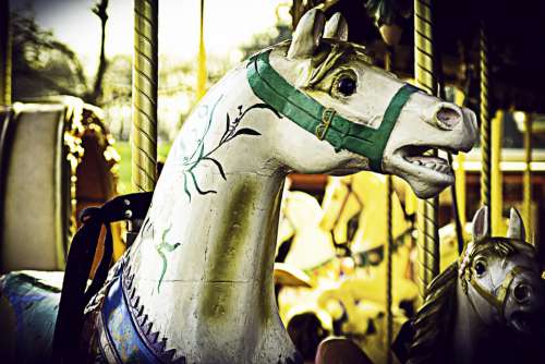Horse Carousel Fun Manege Nostalgic Vintage