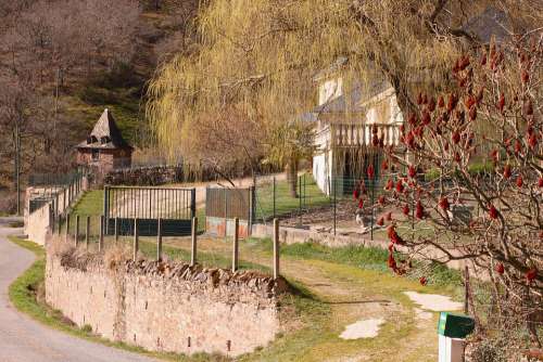 House Nature Landscape Green Trees Garden