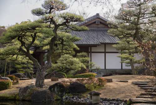 Japan Garden Tradition Pavilion Zen