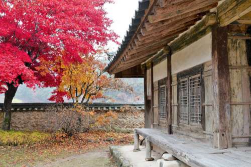 Korea Temple Section Buddhism Landscape Travel