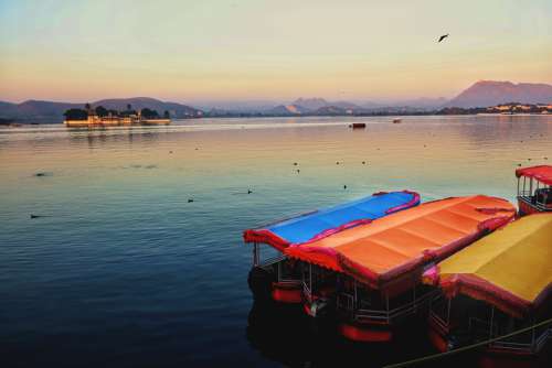 Lake Boats Morning Sunrise Sun Birds Feel Indian