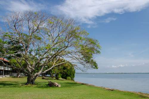 Lake Calm Relaxing Water Lagoon Landscape