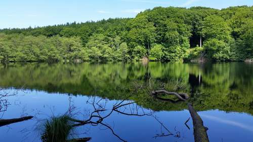 Lake Landscape Woods Water Nature Outdoors Scenic