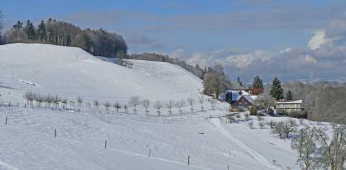 Landscape Switzerland Winter Sun Clouds Trees