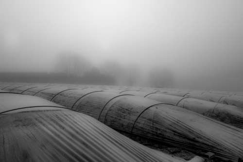 Landscape Mist Fog Silhouette Nature Field Misty