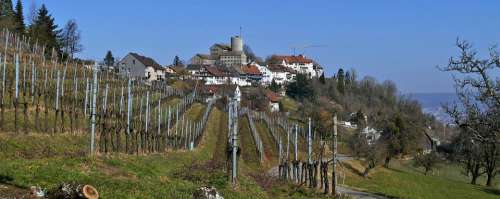 Landscape Switzerland Rain Mountain Winegrowing