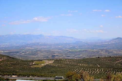 Landscape Baeza Valley Of The Guadalquivir Jaén