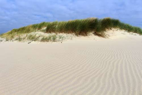 Langeoog Sand North Sea Beach Sea East Frisia