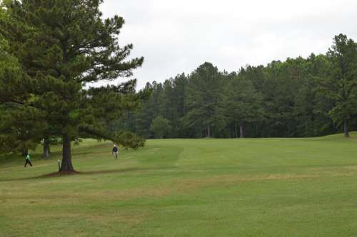 Lawn Golf Fairway Course