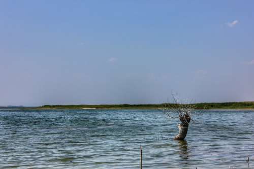 Marine Lake Water Tree Nature Sky Blue Summer