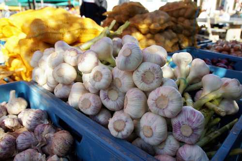 Market Vegetables Fresh Farmers Markets Sale Stand