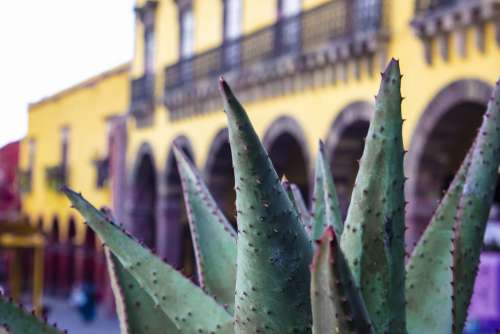 Mexico Colonial City Mexican Historic Perspective