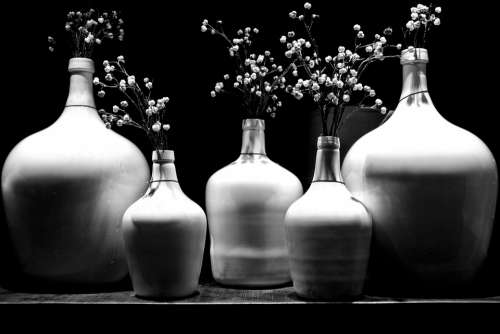 Monochrome Art Ceramic Vase Bottle Still Life