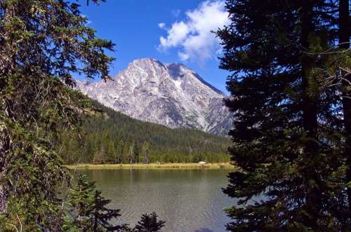 Mount Moran Over String Lake Mountains