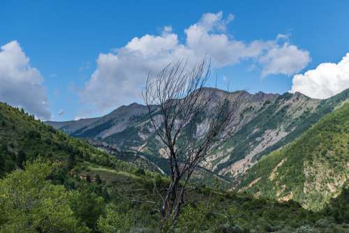 Mountain Hills Basin Alpine Alps Trees Landscape