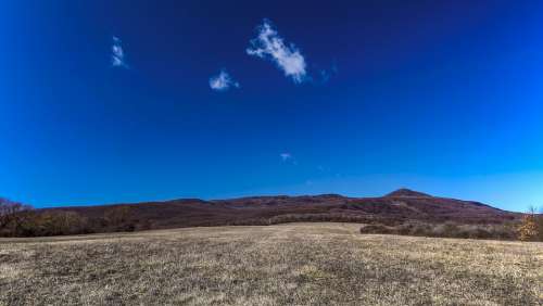 Mountains Meadow Forests Nature The Sky Trees