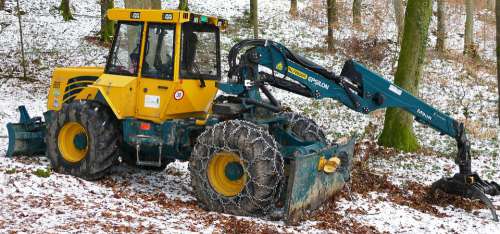Nature Forest Winter Snow Timber Harvesting
