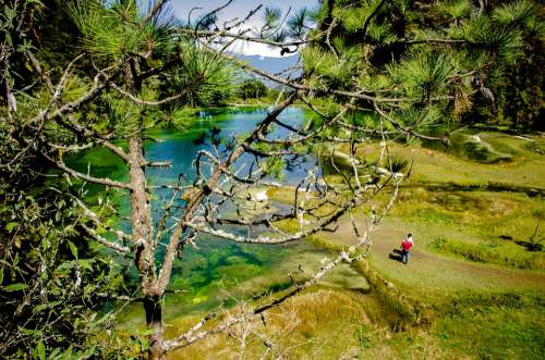 Nature Lagoon Paradise Water Landscape Travel