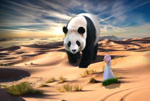 Nature Girl Panda Surreal