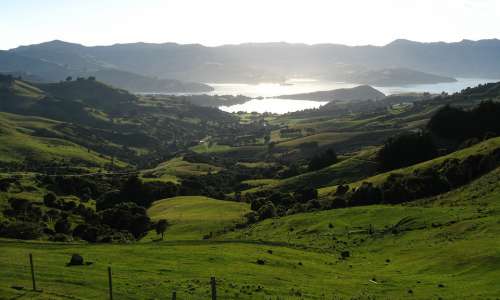 New Zealand Hills Vista Landscape Green