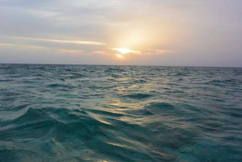 Ocean Sea Turquoise Wave Beautiful Horizon Fish