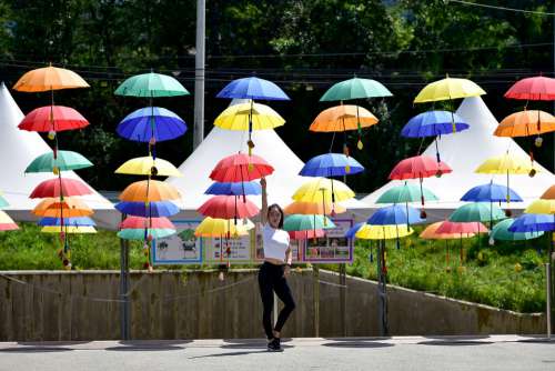 Park Museum Umbrella Travel Romantic
