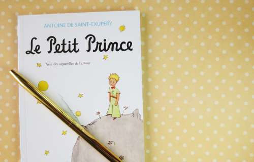 Pettite Prince Books Read Book Literary Retro