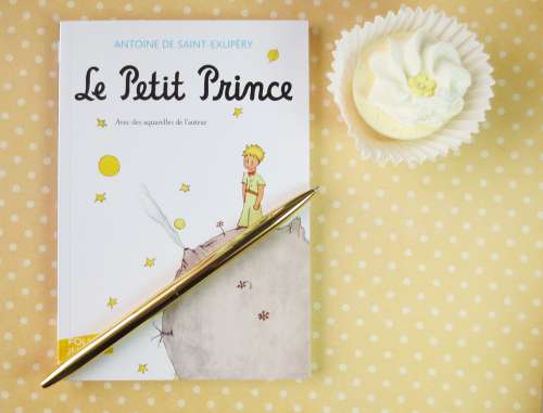 Pettite Prince Books Read Book Literary Retro