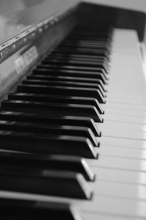 Piano Piano Keyboard Sheet Music Keyboard Instrument