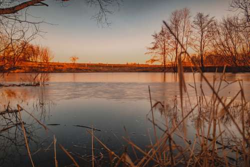 Pond Lake Evening Sun Sunset Nature Water