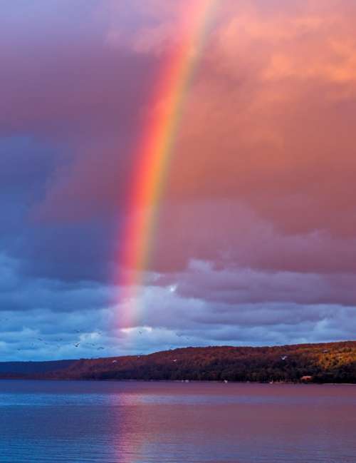 Rainbow Rain Effect Landscape Sky Summer Colorful