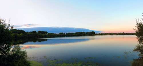 Roermond Netherlands Lake Fish Sunset Water