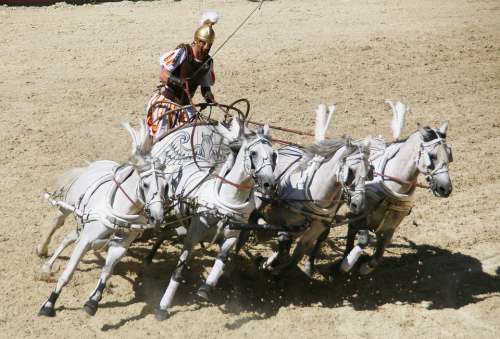 Roman Chariot Race Rome Colloseum Gladiator