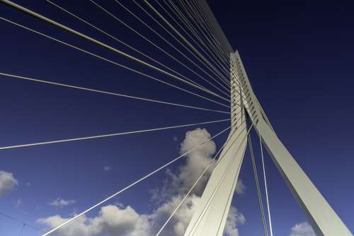 Rotterdam Erasmus Bridge Netherlands Architecture