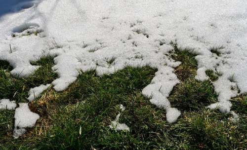 Snow Grass Turf Melt Warming Winter Spring White