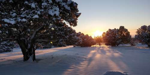 Snow Winter Cold Nature Landscape Outdoors Wintry