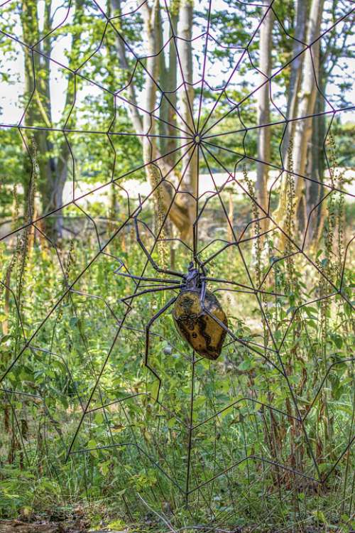 Spider Art Installation Metal Web Legs Outdoors