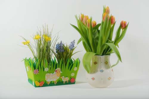 Spring Still Life Decoration Flowers