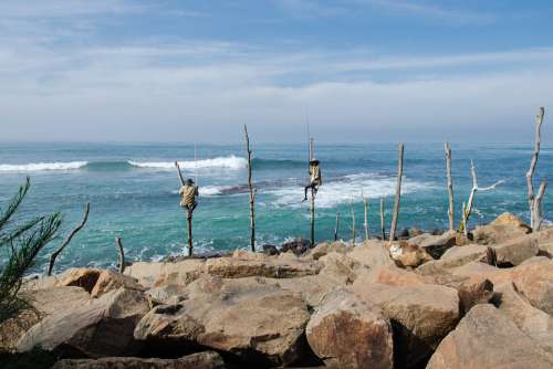 Stilt Fishing Fisherman Fishing Sea Ocean