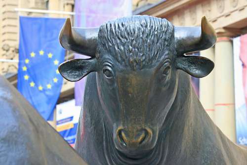 Stock Exchange Bull Shares Finance Profits Buy